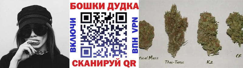 Где продают наркотики Сургут АМФ  Галлюциногенные грибы  гидра как зайти  Меф мяу мяу  Кокаин  СК  Марихуана 