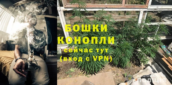 дурь Верея