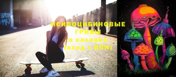 дурь Верея