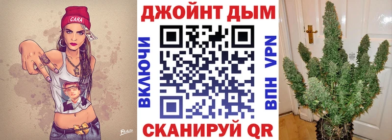 Канабис планчик  ссылка на мегу как зайти  Сургут 